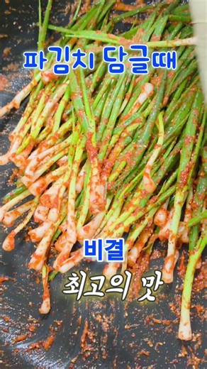 쪽파김치 담글때 설탕 물엿 넣지말고 대신 넣는것은 정답 댓글에 있습니다 #최고의비법 #건강이최고