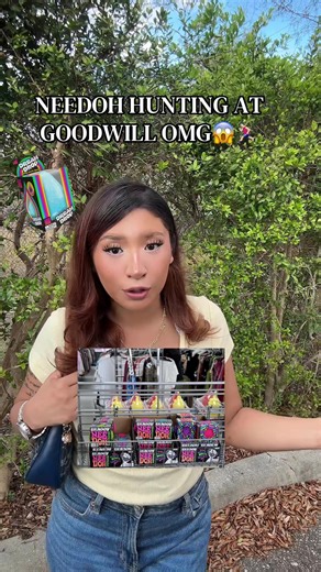 Needoh Hunting Adventure at Goodwill