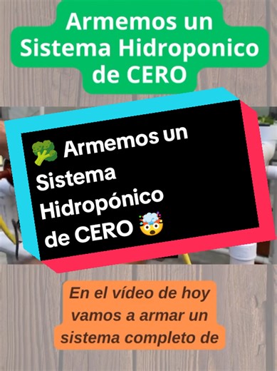 Sistema Hidropónico desde CERO: Guía Completa