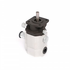 [Hot Item] 13.5 Gpm Logsplitter Gear Pump