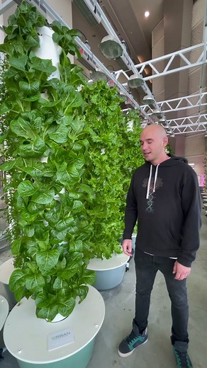 Advantages of Aeroponic Vertical Tower Farming