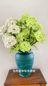 Hydrangea Flowers DIY. How does it look☺️?#CreativeDIY #minicartoonDIY#MakingflowerDIY #creative #DIY @followers #makingflower #diyhomedecor #diy #flowers #របៀបធ្វើផ្កា #លួសកម្ញី #តុក្កតា | Creative DIY