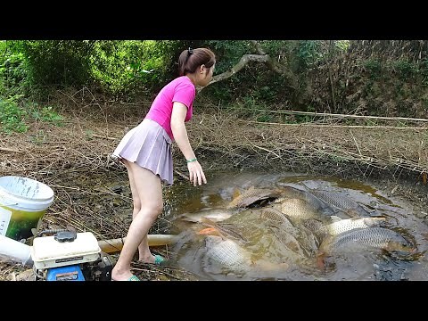 Girl Fishing - Using Pumps, Pumping Water Outside The Natural Lake, Harvesting a Lot Of Big Fish