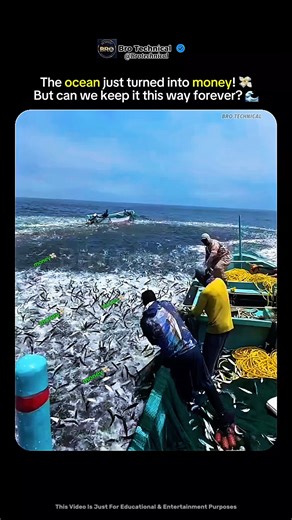 “When the Ocean Gives You a Fortune 💸 | The Biggest Fish Haul Ever Caught on Camera!”