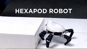 1.1M views · 14K shares | A little more scary than cute. | Outer Places | Facebook