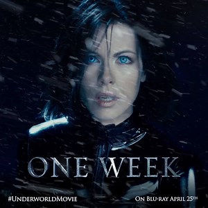 22K views · 3.7K reactions | Slip the blood from the goblet and...