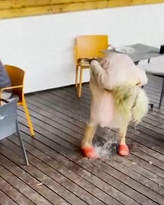 317K views · 159 reactions | Surveillance footage catches woman giving birth | Gorgeous | Facebook