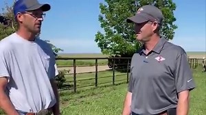 1K views · 22 reactions | Tune in to hear about one of the most popular Charolais sires in recent years! 7CH96 LT AFFINITY is a stunning Rushmore son with incredible projections for BW and MARB. AFFINITY is backed by five generations of great-uddered, highly productive cows at Lindskov's LT Ranch. Learn More about AFFINITY ⬇ https://selectsiresbeef.com/bull/charolais/lt-affinity-6221-pld/ | Select Sires Beef | Facebook