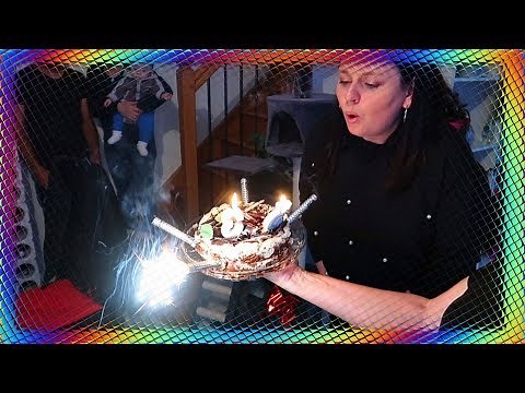VLOG : ON FÊTE L'ANNIVERSAIRE D’AURÉLIE ENSEMBLE AVEC TOUTE MA FAMILLE !!!