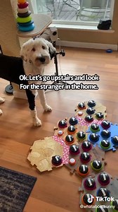 Bunny Talking Dog Videos | Bunny the Dog Buttons | I Am Bunny