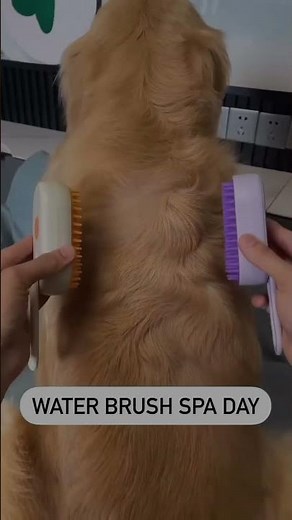 “Remove Dog Hair in Seconds! Anti-Static Steam Brush for a Clean, Fresh Coat”