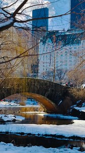 6.3K views · 340 reactions | Gapstow Bridge is one of Central Park’s...