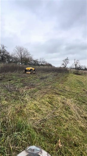 Spider ILD02 #grass #grasscutting #spider #mower #worklife #work #fyp
