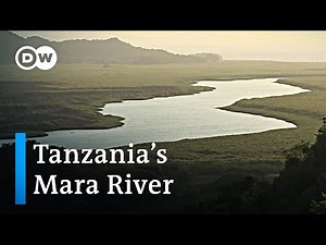 Tanzania's Mara river | Global Ideas