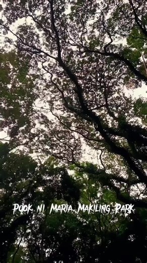 Pook ni Mariang Makiling: Alamat at Kultura