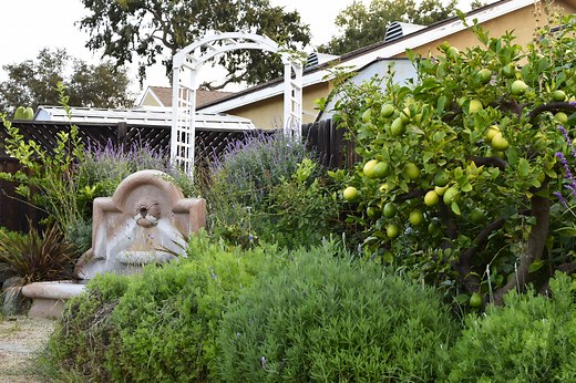 Discover the Difference Between a Pergola and an Arbor