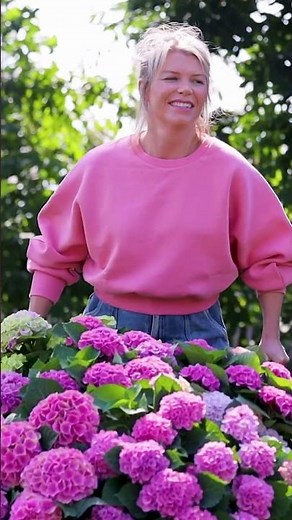 🌸 Spring is showing its most beautiful side.