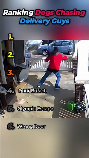 Ranking Dogs Chasing Delivery Guys 🏃🏽‍♂️