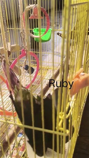 $Ruby 💦💦💦💕