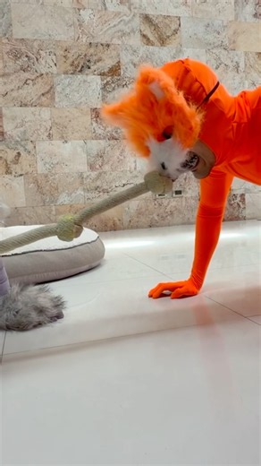 We played with dog toys 😱😱 #therian #memoaponte