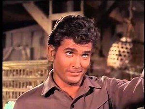 Bonanza Funny Rabbit's Clip