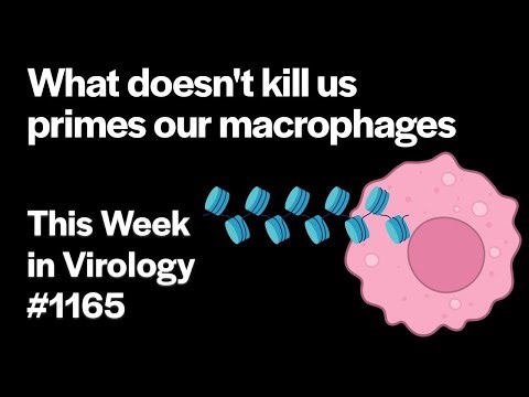 TWiV 1165: What doesn't kill us primes our macrophages