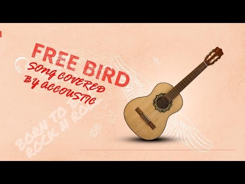 Free bird acoustic cover #guitarcover #freebird #music #foryou