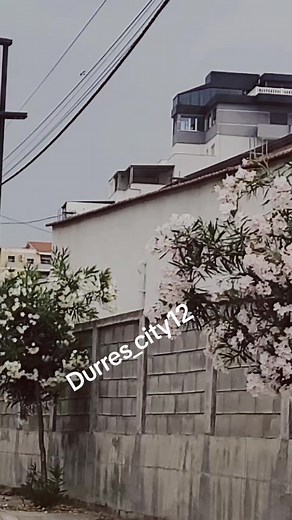 #fypシ゚viral #shqiperia🇦🇱 #dyrrahmare #durresalbania🇦🇱 #durres👑🇦🇱durres #viralvideotiktok #shqip #tiktokalbania🇦🇱 #durresmycity #durresmycountry #viralshqip #durresbeach #albania🇦🇱 #albania🇦🇱 #fypシ゚viral🖤tiktok #fypalbania🇦🇱