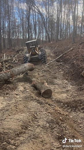 Forestry Machine Moving Fallen Tree Trunk in Woods