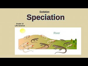 Speciation | Evolution Life science grade 12 |