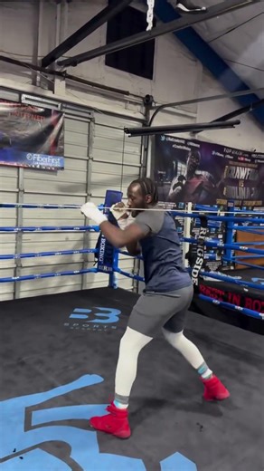 How Terence Crawford Destroyed Errol Spence Jr. – Full Fight Breakdown” #viralboxing #mma #ufc