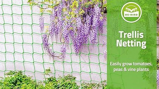 How To Use Your Trellis Netting