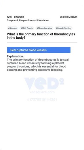 12th Biology Thrombocytes Function Explained