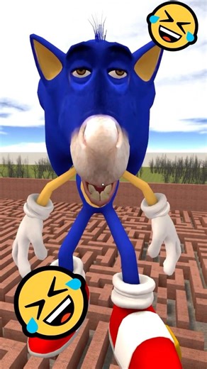 ME ENCONTRE AL SONIC BURRO MAS GRACIOSO! #gmod