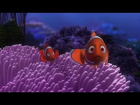 Finding Nemo Barracuda Attack Scene (Without Music)