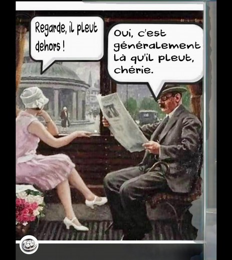 24K views · 81 reactions | Préparez-vous à rire avec notre compilation hilarante de mêmes de chats et d'animaux et autres !  | Chats / Cats Compilation | Facebook