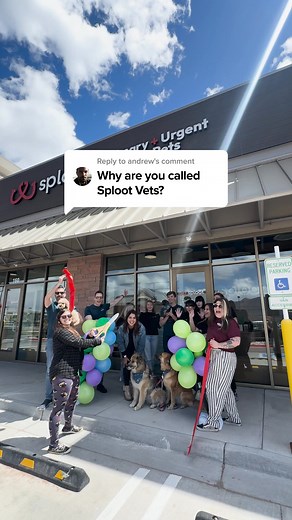 Hey Chicago pet parents! 🐱🐶 Sploot is your pet’s one-stop shop for all things vet care. 🐾 ✅ Get primary, urgent, and emergency care—all in one place. ✅ From a hand-picked team of skilled and FearFree-certified vets. ✅ Open every day, 8 AM - 8 PM, including weekends and holidays. ✅ Text with vets, self-book visits, and access records anytime in our app. | Sploot Veterinary Care