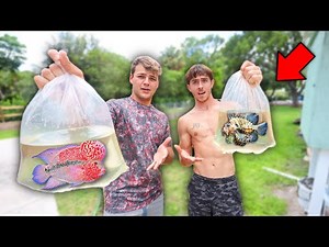 1v1 CRAZIEST FISH CHALLENGE! (Buy or Catch)