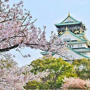 Japan | Activity Ideas for Seniors & the Elderly
