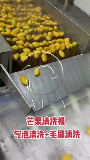 How Mangoes Are Cleaned in Modern Factories 🥭 | Automatic Washing Line