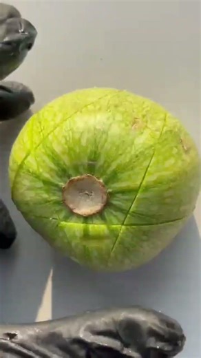 #shorts #viral #trending #fruit #fruitcutting #shortsviral #shortvideo #trendingshorts #viralvideo