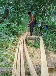 2.2M views · 8.4K reactions | amazing skills in daily works | Myles Erlick | Facebook