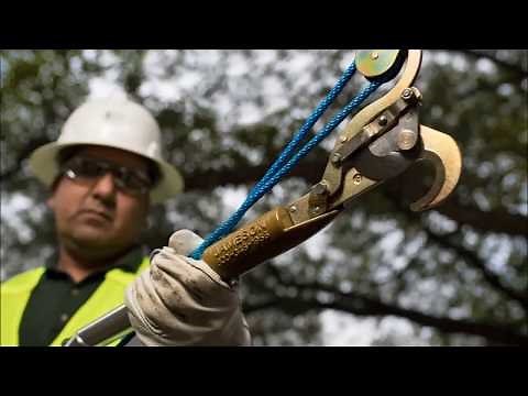 Jameson Tree Trimming Tools