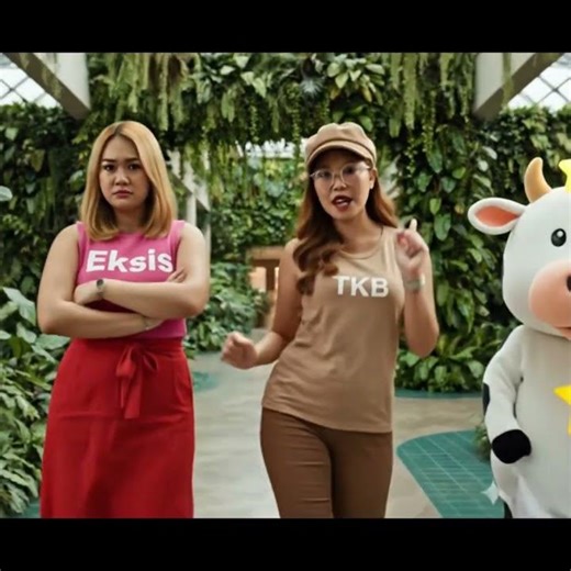 Elite Serenity Superstar branded antibacterial spring bed mattress at an economical price