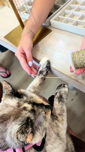 Matching Bracelets for Chester & Clemmie | Shark Bite Jewelry