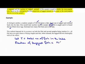 Lesson 5 Part 1 Capture Recapture