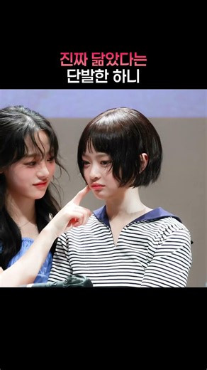 진짜 닮았다는 단발한 하니