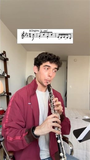 The Ultimate Classical Music Mashup?