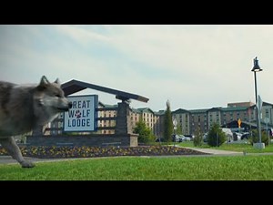Great Wolf Lodge 'Wolf Out!'