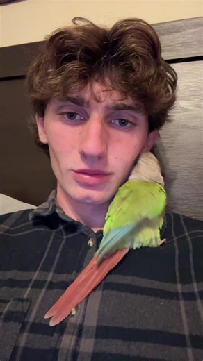 _____ (@touges)’s videos with original sound - ❦